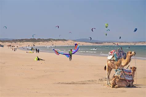 Excursion en windsurf et kitesurf à Essaouira